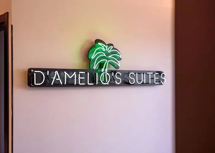 D\'Amelios Suite 2.0